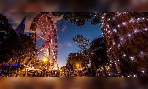 Decorações começam a ser instaladas para a 'Maringá Encantada'; veja