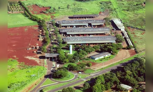 Ceasa Maringá abrirá no feriado; veja a programação das unidades