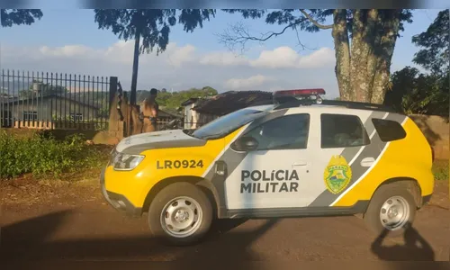 Ladrões invadem casa e furtam 10 galinhas em Apucarana