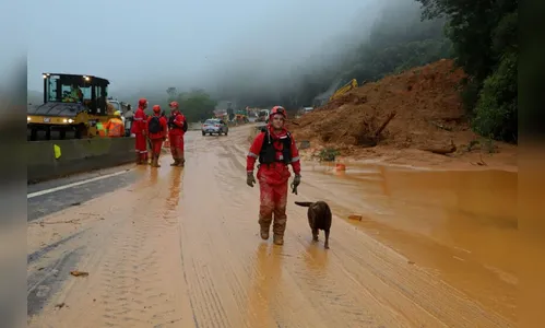 Forças de salvamento fazem nova varredura na BR-376