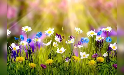 Fim da primavera, a estação mais bela do ano