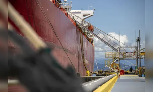 Com 54 milhões de toneladas, portos do PR registram alta de 2% no ano