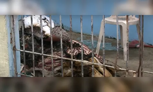 PR: Marido é suspeito de amarrar esposa grávida e atear fogo na casa