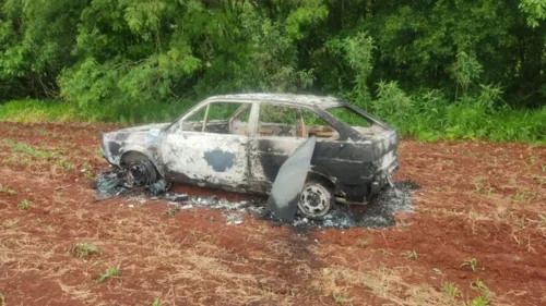 No local, os policiais guincharam o carro e encaminharam até a delegacia