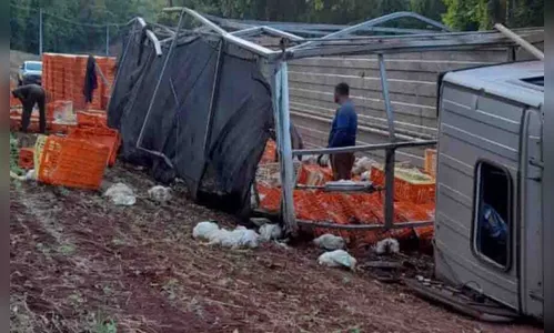 Caminhão carregado de frangos vivos tomba na PR-082