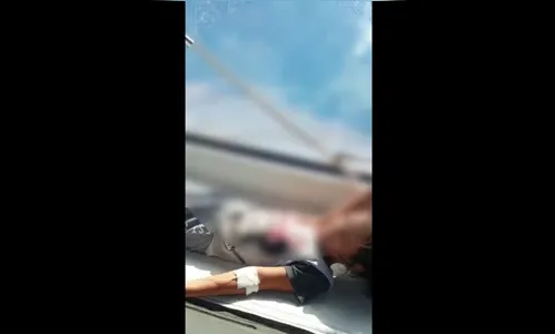 Criança de 7 anos é picada por jararaca dentro de casa, no Paraná