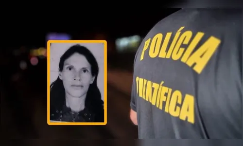 Atropelamento na BR-376 causa a morte de mulher de 61 anos
