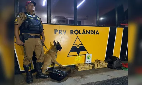 Polícia rodoviária prende rapaz com 25 kg de maconha em ônibus