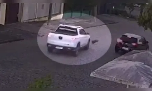 Vídeo: Jacu morre atropelado e caso gera indignação no Paraná