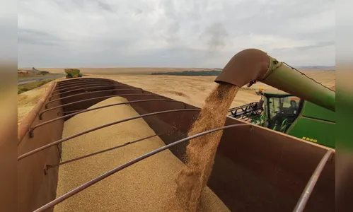 Paraná ultrapassa Rio Grande do Sul e vira 4ª maior economia do Brasil