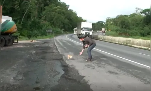 Jornalista interrompe ao vivo para salvar cachorros na BR-277; assista