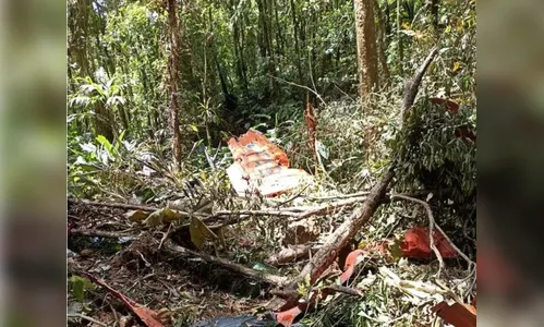 Avião de treinamento da FAB é encontrado em SC: dois mortos
