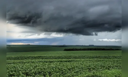 IDR-Paraná diz que chuvas de outubro beneficiaram lavouras no Estado