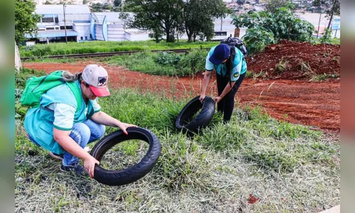 Apucarana alerta para o início do período crítico da dengue