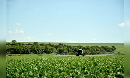Votação do PL dos Agrotóxicos é adiada para terça-feira