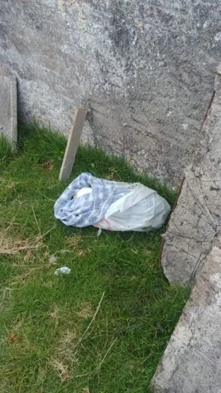 Cachorro morto foi embrulhado em um tecido e deixado no cemitério