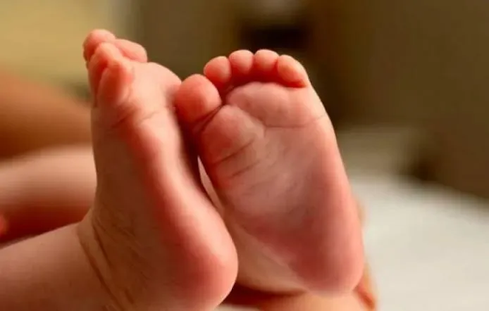 Imagem Ilustrativa - 
A bebê, de apenas  15 meses, foi retirada à força dos braços da mãe e levada pelo avô paterno durante as agressões