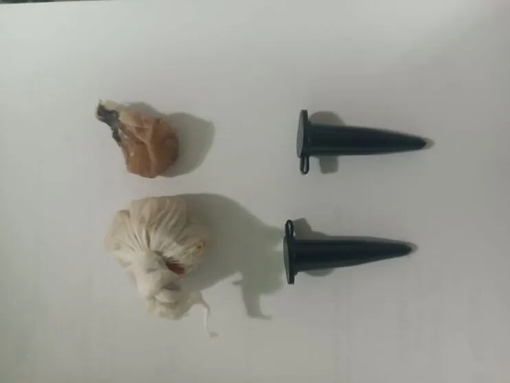 No local, foram encontradas porções de crack, que renderiam até 50 pedras após fracionadas e dois pinos de cocaína