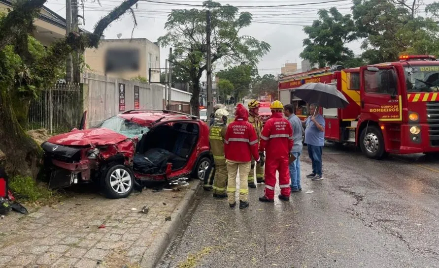 Após atingir o coletivo, o veículo bateu de frente com uma árvore