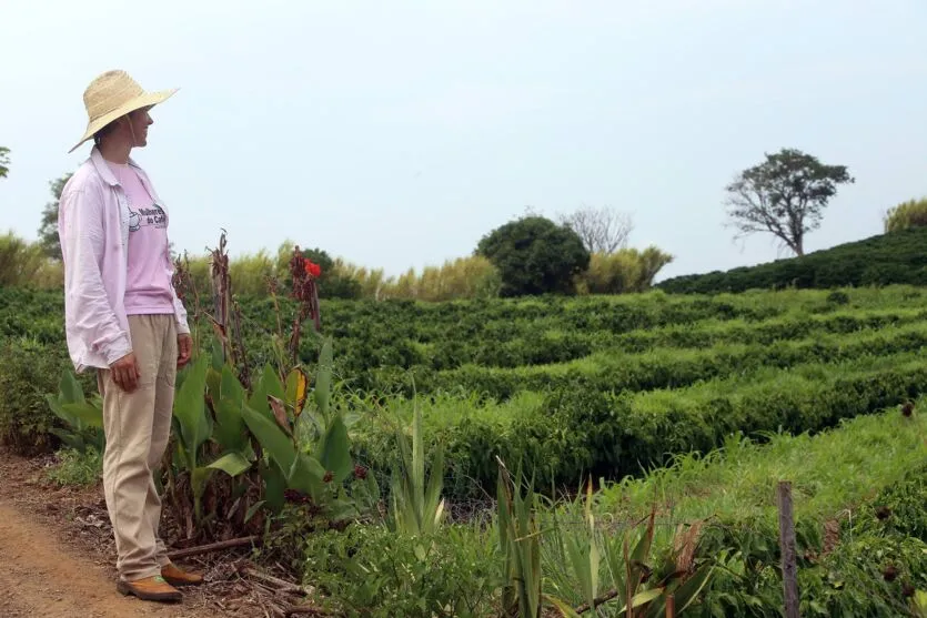 Financiamentos beneficiaram a 2.075 projetos em diversas atividades do setor agropecuário no estado