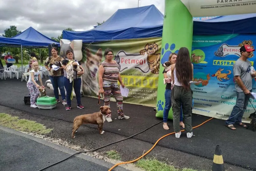 Governo do Estado reiniciou nesta segunda-feira (9) o Programa Permanente de Esterilização de Cães e Gatos (CastraPet Paraná)