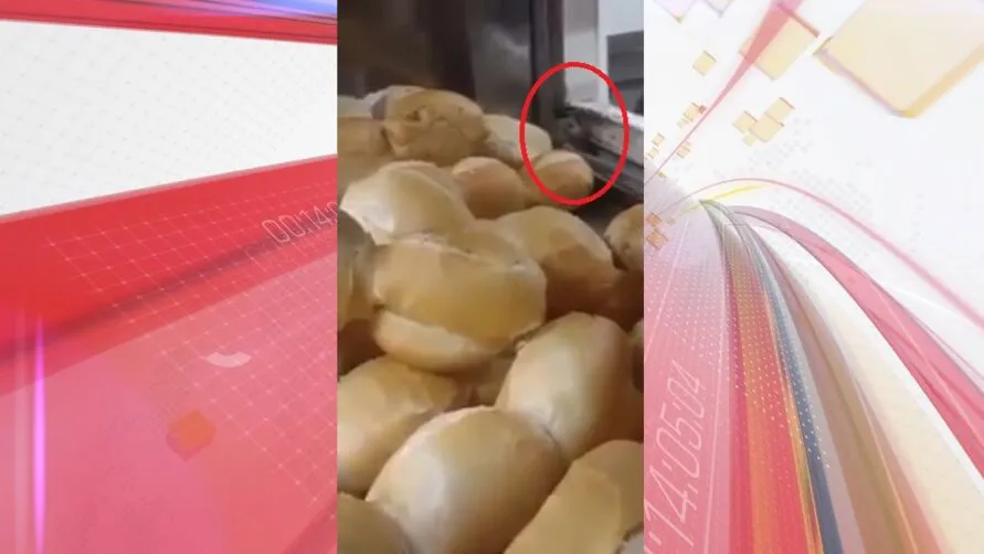 No vídeo é possível ver que o roedor está dentro da estuda de pão, comendo os alimentos