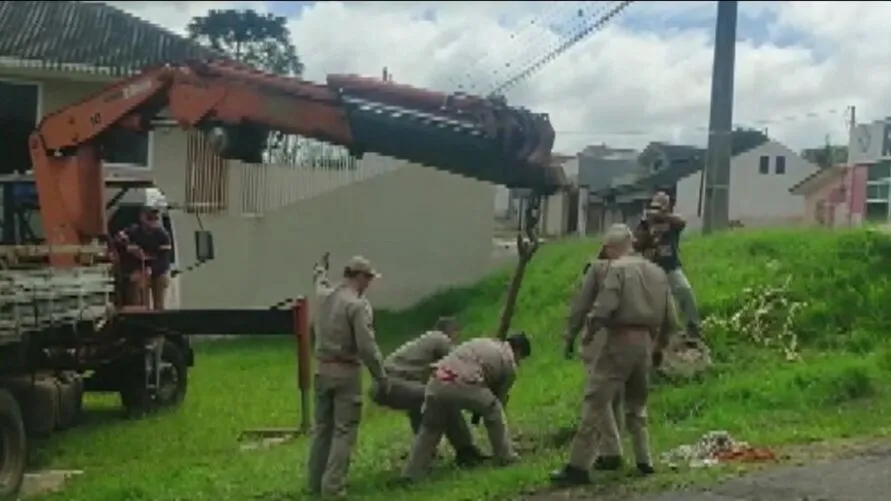 O animal caiu no buraco na noite de terça-feira (27)