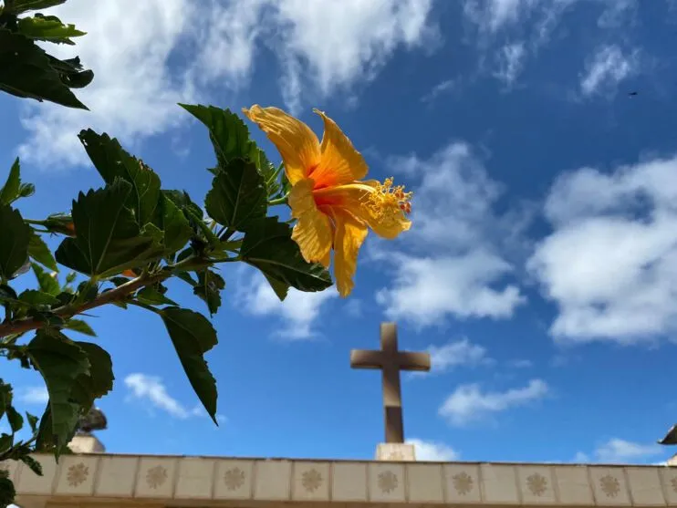 Os sepultamentos acontecem na Cidade Alta e um em São Paulo