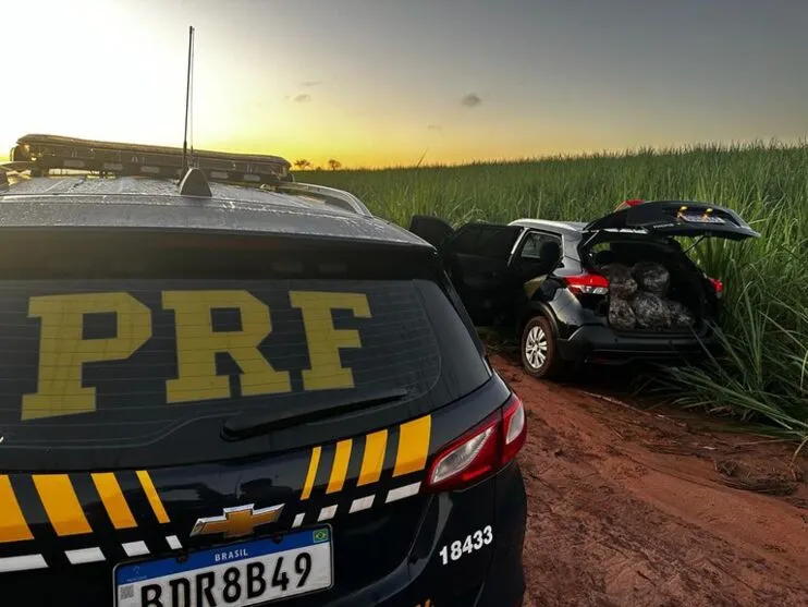 Pouco mais de 1,5 mil quilos de maconha foram apreendidas em três ocorrências no estado, em um intervalo de seis horas