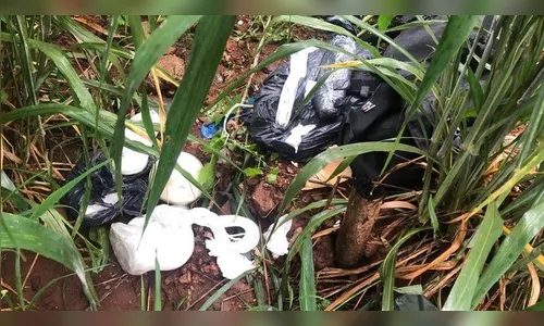 Novos explosivos são encontrados em área de mata do Distrito Federal
