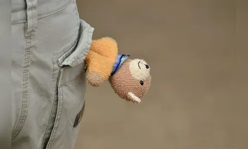 Homem de 43 anos marca encontro com menina em Arapongas e acaba preso