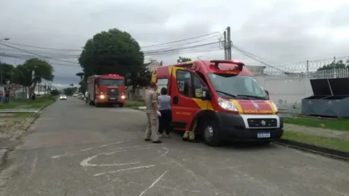 A equipe dos Bombeiros precisou usar roupas especiais de apicultor