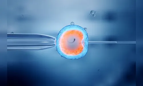 Medicina reprodutiva: infertilidade e preservação da fertilidade