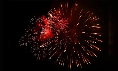 Quem soltar fogos de artifício pode pagar multa de até R$ 100 milhões
