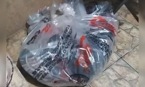 Corpo é encontrado dentro de sacola no PR; suspeito foi preso