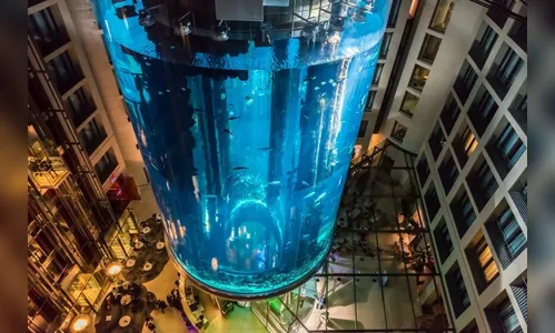 Aquário gigante explode e 1,5 mil peixes caem em avenida de Berlim