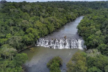 As duas leis sancionadas no Paraná incentivam novas práticas ambientais no Paraná