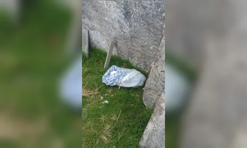 Polícia é chamada para recolher feto no cemitério e encontra cão morto