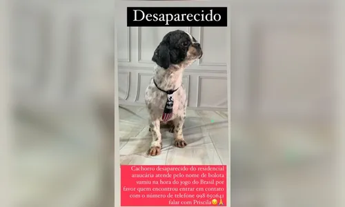 Família procura o cachorro 