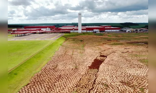 Paraná ganha o maior frigorífico de suínos da América Latina