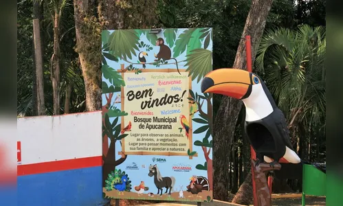 Bosque Municipal atende em horário especial neste final de semana