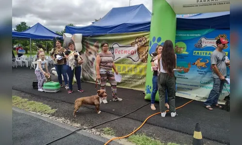 Veja quais cidades vão receber o CastraPet Paraná em janeiro