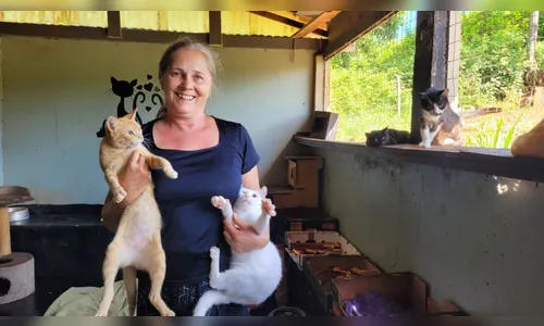 Protetores independentes cuidam de mil animais em Apucarana; assista