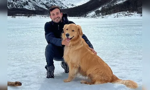 Kombi de empresário curitibano que viaja com golden pega fogo; veja