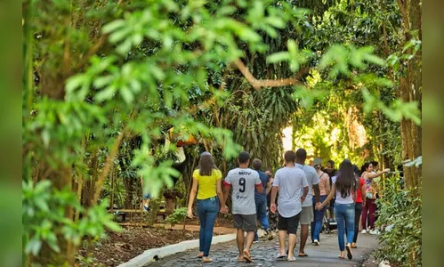 Parque do Ingá terá horário ampliado a partir desta sexta-feira