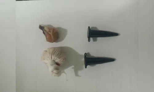 Jovem de 18 anos é presa com drogas, em Apucarana