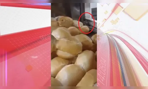 Rato come pães em estufa de mercado e vídeo viraliza; assista
