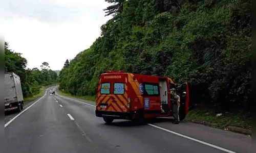 Andarilho tenta socorrer cachorro na BR-277 e acaba atropelado
