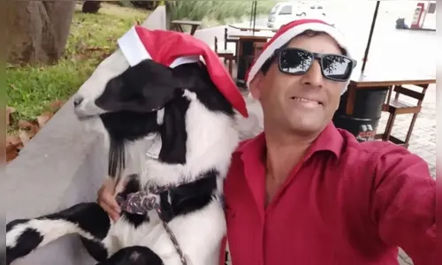 PR: Ladrão furta bode de estimação e tenta vendê-lo para irmão do dono