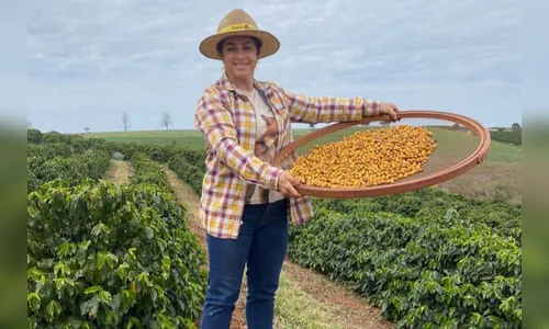 Após ano premiado, mulheres ajudam o PR a ser celeiro do café especial